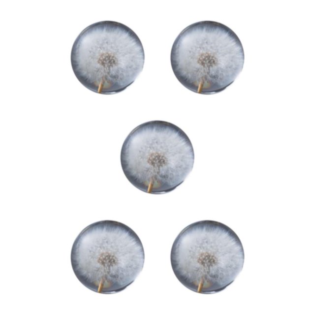 VONKY Resin Crystal Ball Enhancing Energy In Space Easily Portable Flower Crystal Ball Dandelions 6cm 5Set