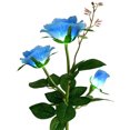 thumbnail image 1 of 3 Head Solar LED Decorative Outdoor Lawn Lamp 3 Head Sun Rose Light HU5503, 1 of 1