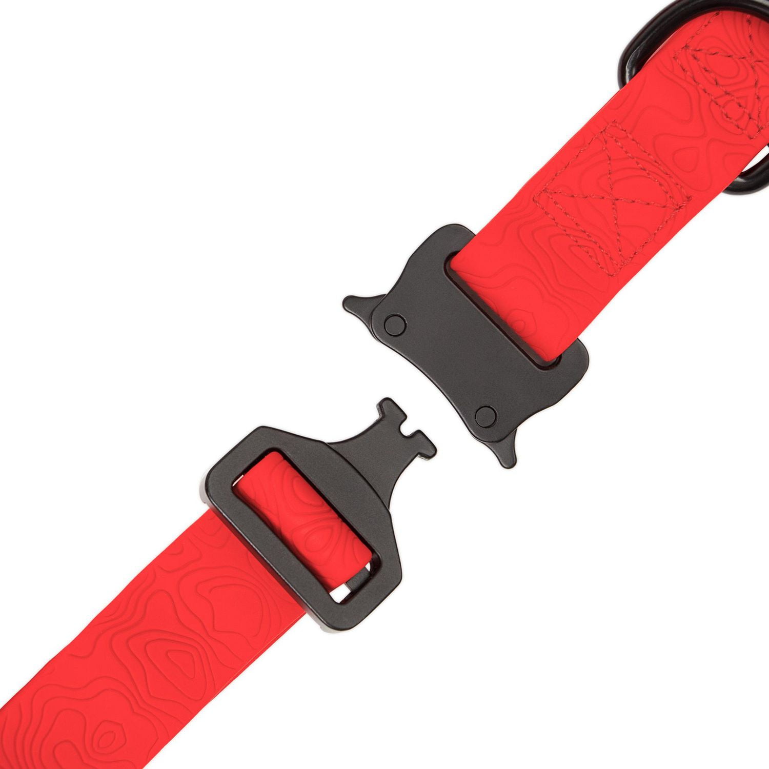 One Paw, Un collier pour chien en Silicone avec boucle métal, hydrofuge, plusieurs tailles.
