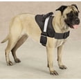 thumbnail image 2 of Cool Runners Dog Harness, 2 of 2