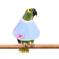 thumbnail image 3 of Pet Cone Adjustable Bowknot Anti-bite Parrot Collar Recovery Collar for Bird, 3 of 10