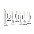 thumbnail image 3 of Birdeem 7Pcs Pearl Flatware Set, Silverware Set- Creative Stainless Steel Flatware Pearl Ceramic Handle Silverware Tableware for Kitchen Hotel Home Steak Knife Dessert Spoon Dishwasher,1 Set, 3 of 6