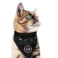 thumbnail image 5 of Indianapolis Colts Dog Bandanna Size S, 5 of 5