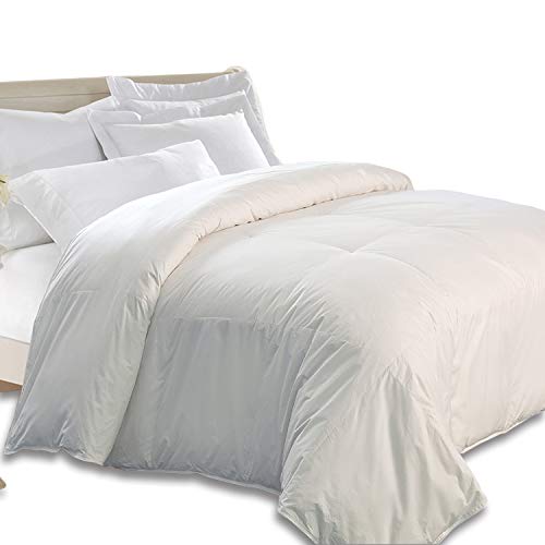 Kathy Ireland Kathy Ireland-240 Thread Count 50-50 Feather King in Color Down/Down Down/Down Blend Comforter, King, White