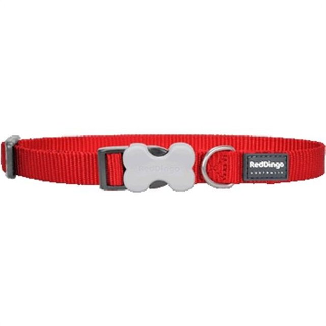 Red Dingo DC-ZZ-RE-LG Dog Collar Classic Red, Large