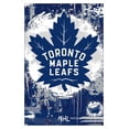 thumbnail image 1 of NHL Toronto Maple Leafs - Maximalist Logo 23 Wall Poster, 22.375" x 34", 1 of 4