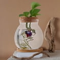 thumbnail image 3 of HLONK Desktop Fish Bowl Hydroponic Terrarium Glass Small Fish Tank with Bamboo Cushion, 3 of 6
