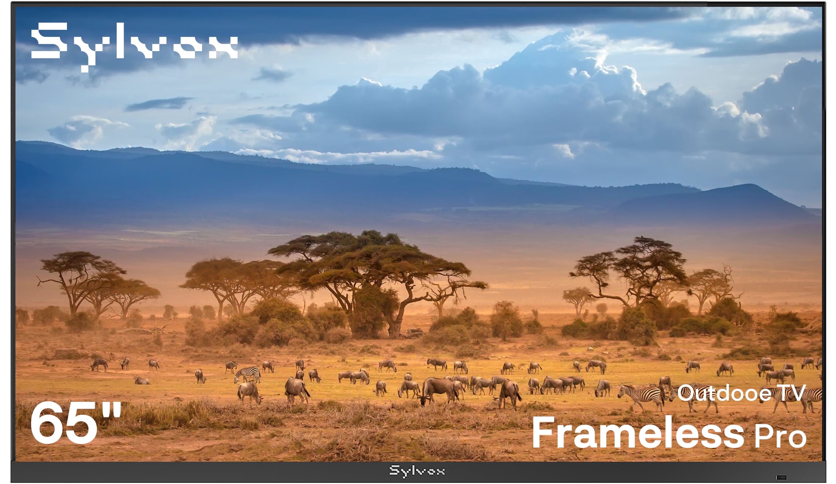 Sylvox Smart Outdoor TVs 65" 4K Full Sun Television 2000 Nits,IP56 Waterproof Google TV,Ultra-Narrow Bezel,Framless Pro