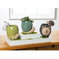 thumbnail image 3 of Abbott Collection AB-27-CRITTER-187 5 in. Tall Hedgehog Planter, Grey, 3 of 3