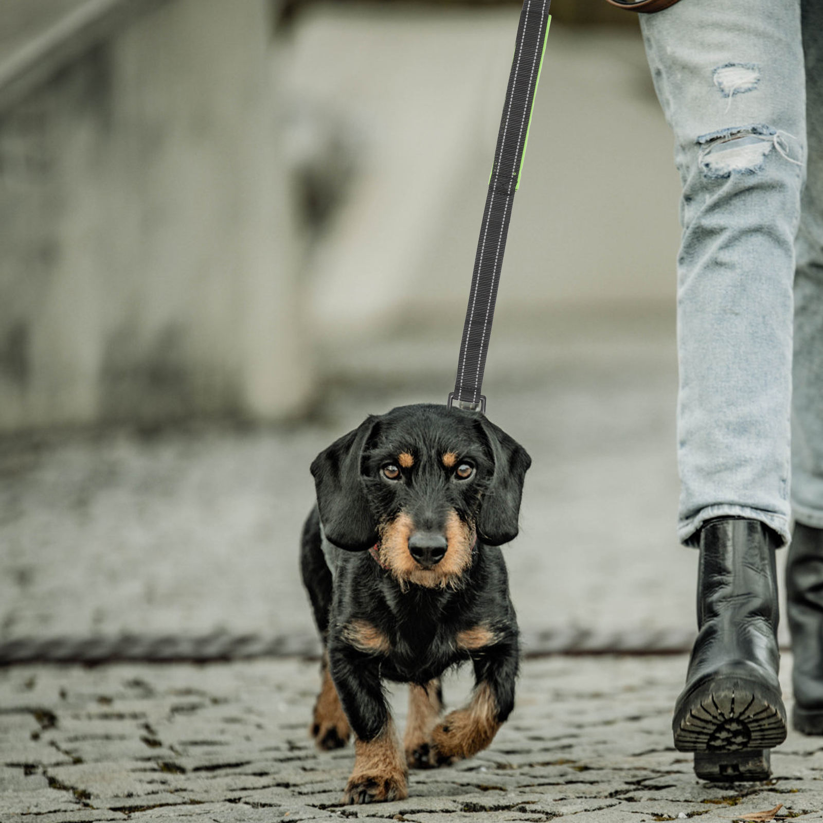Raindrops Sturdy Nylon Dog Leash with Reflective Stitching and Ergonomic Grip for Pets