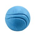 thumbnail image 1 of 1Pcs Solid Rubber Ball Pet Dog Toy Training Chew Play Fetch Bite Toys, 1 of 1
