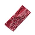 thumbnail image 1 of Karymi Bandeau Élastique Anti-Fuite Imprimé Accessoire de Cheveux Sport jusqu'à 45 % de Rabais Liquidation Fête du Travail, 1 of 3