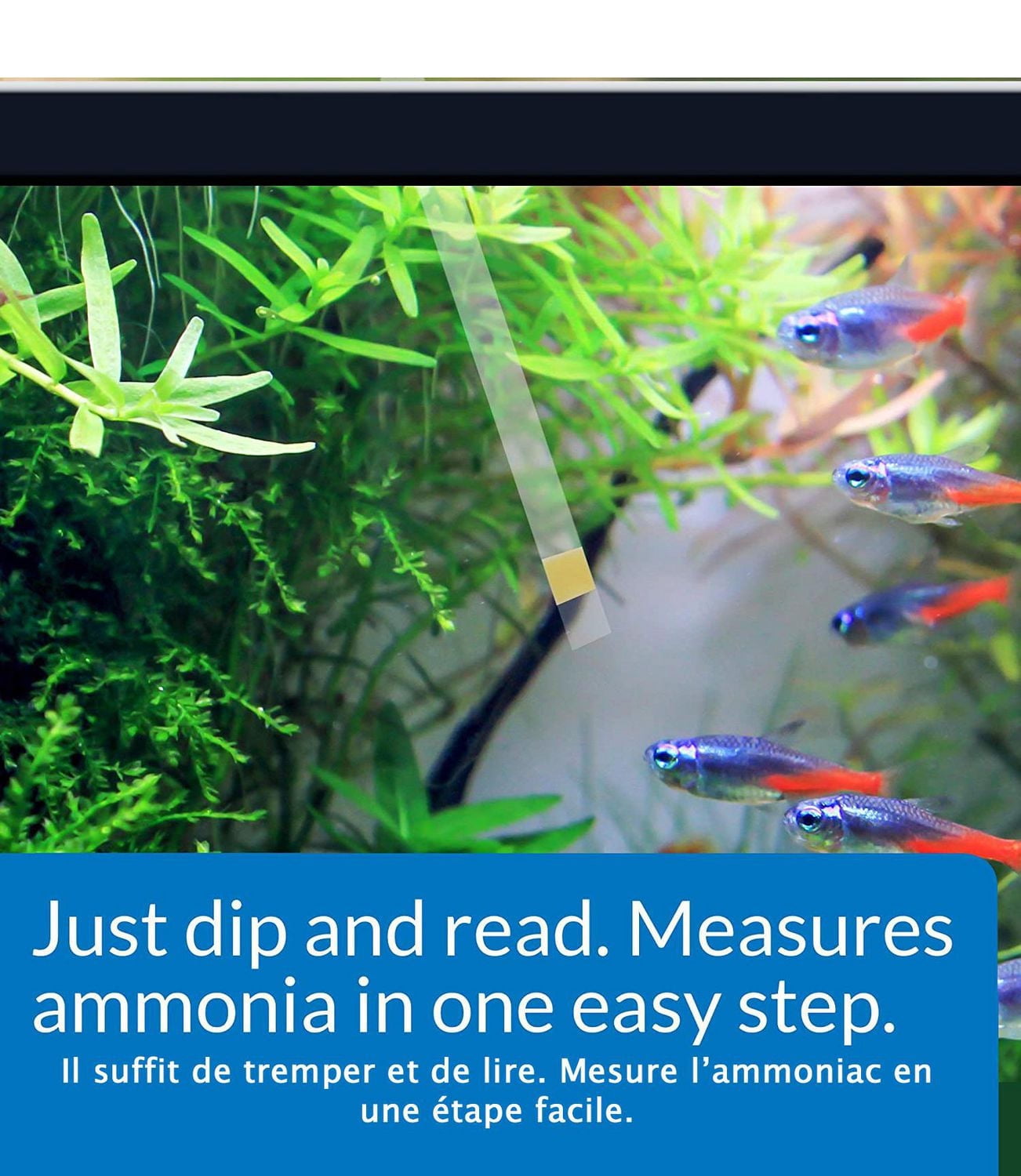 API Ammonia Test Strips, Freshwater and Saltwater Aquarium, 25-Count