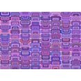 thumbnail image 1 of Ahgly Company Tapis d'Intérieur Lavables en Machine pour la Zone de Transition Violet, 7' x 9', 1 of 7