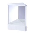 thumbnail image 1 of lionlar Miroir Non Inversant Miroir Non Inversant Miroir Inversé pour Salon Cosmétique Ro S, 1 of 9