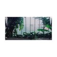 thumbnail image 2 of Fish Tank Wallpaper Sticker, Odorless Waterproof Aquarium Background Decor  For Underwater 61x30cm, 2 of 8