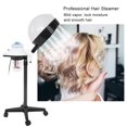 thumbnail image 4 of Hair Steamer, Double Heating Wire Hair Steamers, ABS Safe Fast Heating For Salons Spas Hair Care Hair Conditioning, 4 of 8