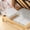 XL, variant on Underbed Storage Box Flat Household Drawer Seasonals Clothes Quilt Organizer Box Storage Box Underbed Storage Shenanigans