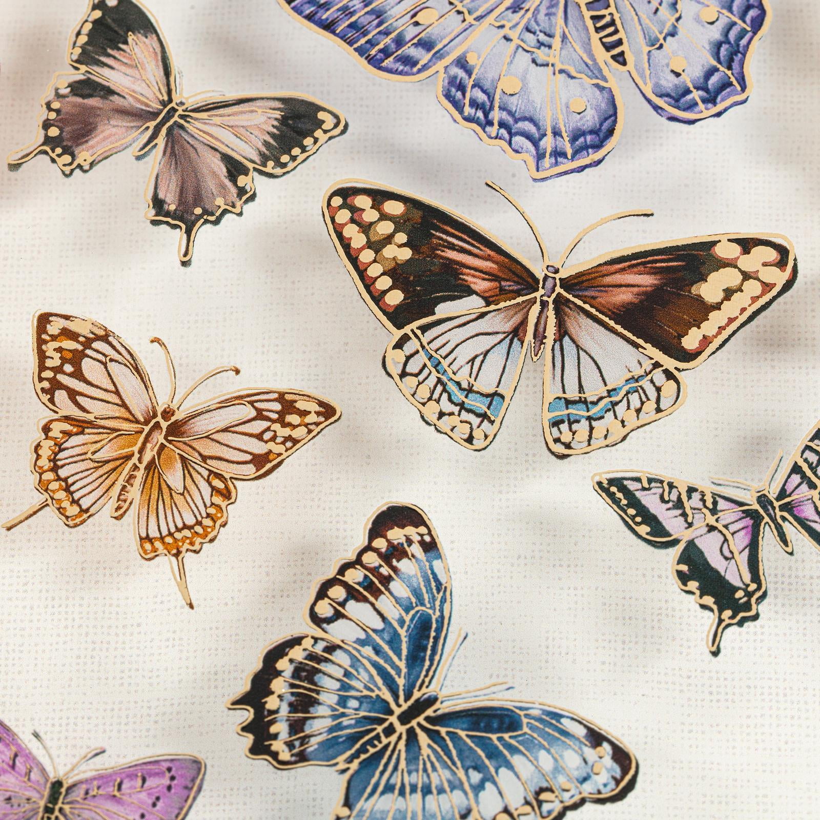 Set of Two Framed Under Glass Butterflies 8x10 - FRENCH