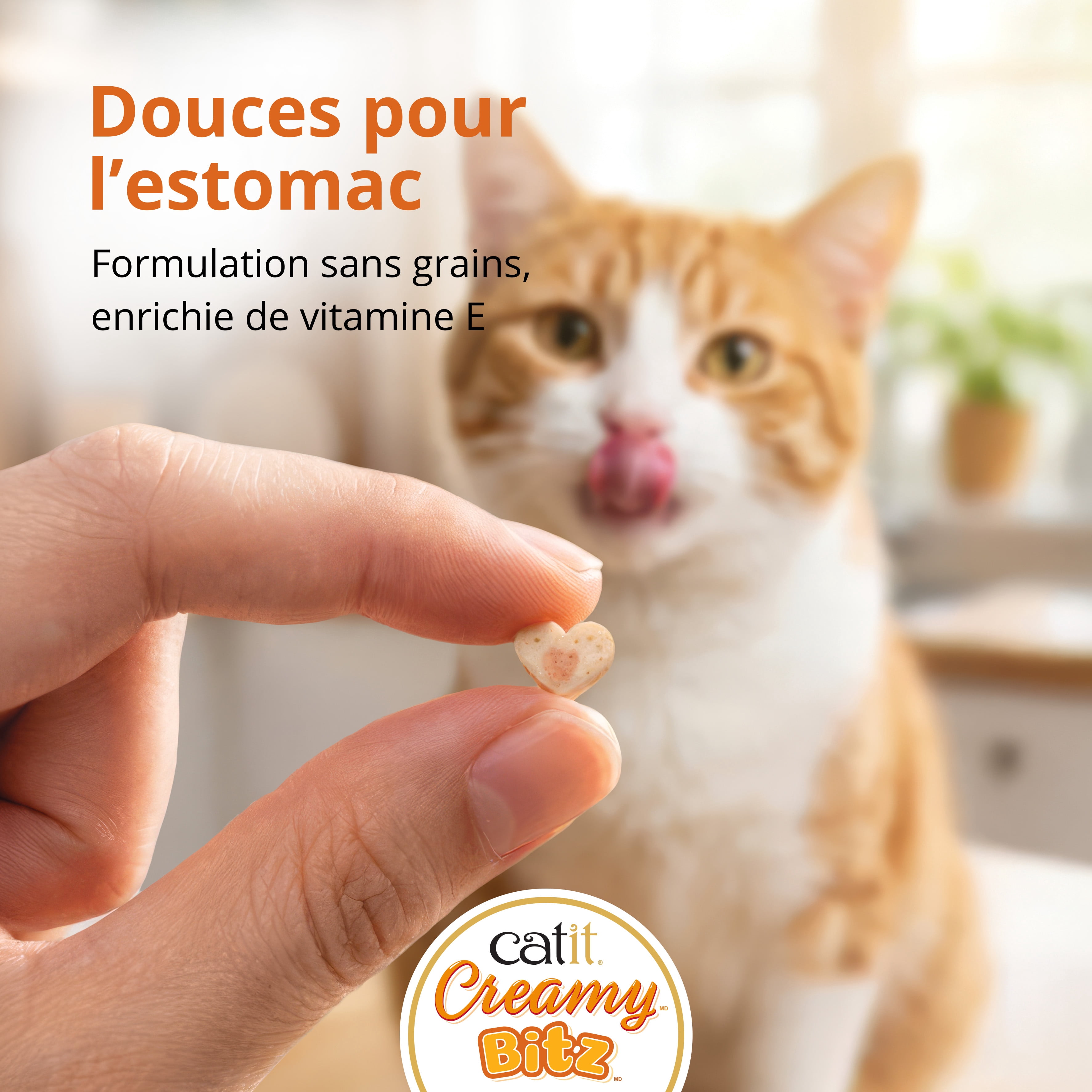 Gâteries pour chats Catit Creamy Bitz, recettes au poulet et canard, 48 G