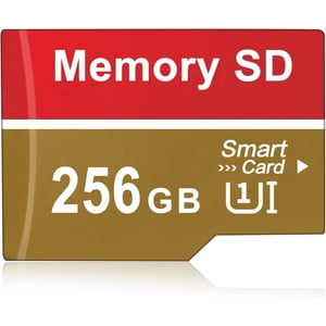 256GB MicroSDXC UHS-I U3 V30 Classe 10 4K UHD Surveillance du transfert vidéo à grande vitesse SD Carte avec adaptateur pour Dash Cam