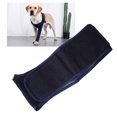 thumbnail image 3 of Dog Elbow Brace Protector, Breathable Elbow Protector Pads, Comfort Highly Elastic Lick Proof Elbow Brace Immobilizer Support For Postoperative Recovery, Wound Wrapping, Black, 3 of 8