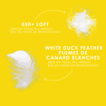 thumbnail image 4 of White Feather & Down Comforter - Regular Weight - Twin Size, 4 of 8