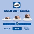 thumbnail image 5 of Sealy Down Wrap Bed Pillow, Jumbo- 100% Cotton Allergy Defense Cover, Responsibly Sourced Duck Down Fill, 5 of 5