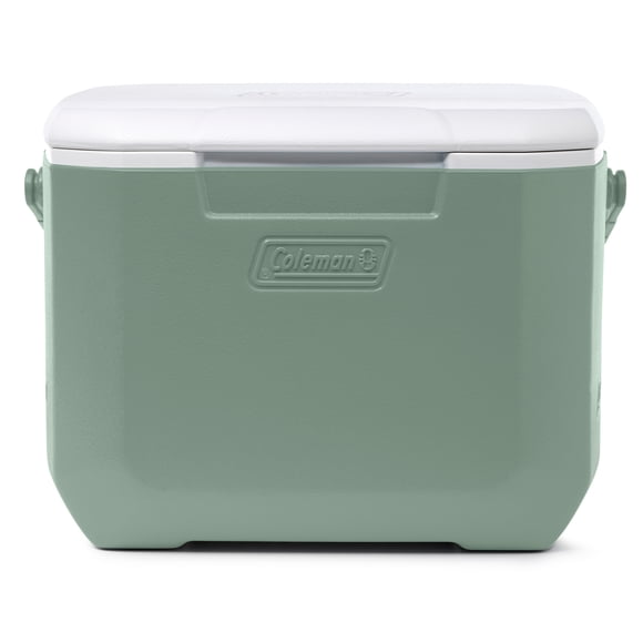 Glacière portative Coleman Chiller 15,1 L (16 pintes), glacière isolée pour les lunches et les boissons, vert de mousse hickory