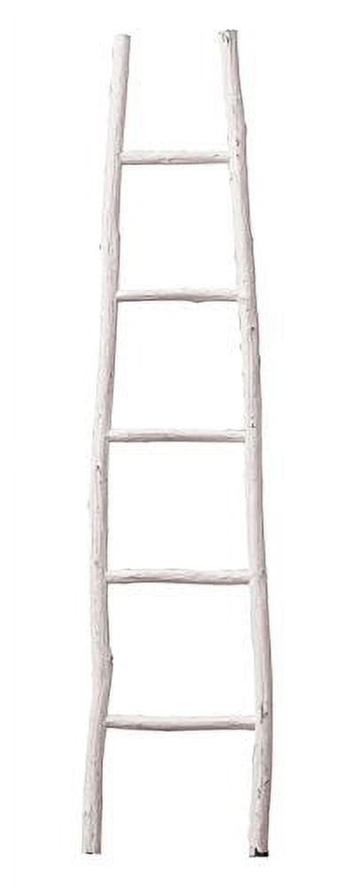 Creative Co-Op DA1901 Decorative Wood Ladder
