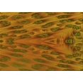 thumbnail image 1 of Ahgly Company Machine Washable Indoor Rectangle Transitional Mahogany Brown Area Rugs, 5' x 8', 1 of 7