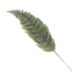 thumbnail image 1 of Artificial Pine Branches 10pcs Christmas Pine Needles Faux Leaves Needle Plastic Pine Tree Branches Garland Fake Greenery Pick for DIY Garland  Holiday Wall Home Decor, 1 of 12