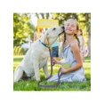 thumbnail image 3 of BB Brotrade Dog Leash,5 FT Heavy Duty Dog Leash With Comfortable Padded Double Handle,Reflective No Pull Dog Leashes For Small Medium Large Dogs Outdo, 3 of 5
