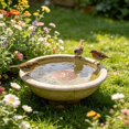 thumbnail image 1 of Tong Copper Disc Bird Bath For Bird Feeders Brass Water Basin Cleaning Disk For Outdoor Bird Bath Bird Feeders For Outdoor Use Copper Bird Bath Cleaner With Protective Coating, 1 of 4