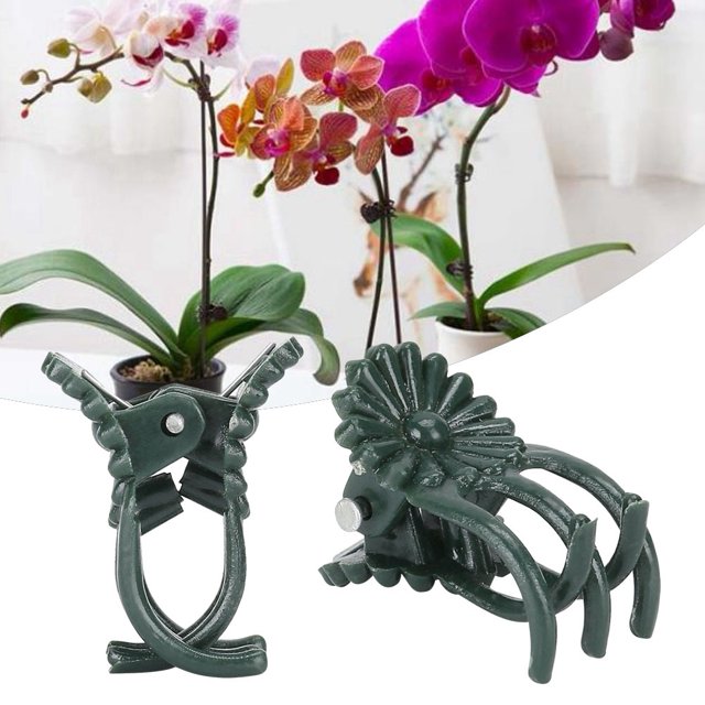 Clip de Support de Plante, Pince de Fixation de Plante en Forme de Fleur 200pcs