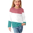 thumbnail image 1 of Vente de Chandails pour Tout-Petits Bébé Filles Manches Longues Imprimés Chandails Mignons Col Rond Hauts Habillés Décontractés Blouses Vêtements Bébé Chandails Manches Longues Roses 4T, 1 of 6