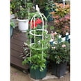 thumbnail image 4 of Stands Climbing Vine Rack Garden Trellis Shelf Durable Clematis Height 59In Steel Tomatoes Rose Plant Support Frame, 4 of 17