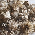thumbnail image 2 of Sola Wood Flower Bark Assortment, 2 of 2