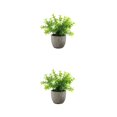 thumbnail image 2 of Decodeary Green Eco-friendly Artificial Money Tree In Pot Long-lasting Durability Realistic Appearance white babysbreath 2Set, 2 of 6