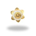 thumbnail image 2 of Bouton d'Armoire Berry ( Ensemble de 6 ), 2 of 3