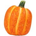 thumbnail image 4 of Northlight Mini Citrouilles et Gourdes en Céramique Décorations de Récolte d'Automne - 3,5 Pouces - Ensemble de 6, 4 of 6
