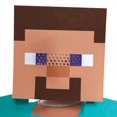 thumbnail image 3 of Child Boys Minecraft Steve Value/Basic Costume, 3 of 6