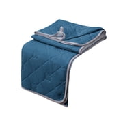 Rbaofujie Weighted Blanket Kids Luxury Double Bedding Quilt - Blue and Purple Double Bedding Quilt Suitable for All Seasons Soft Cover Quilt Fleece Blanket
