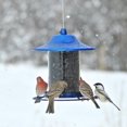 thumbnail image 3 of Perky-Pet 2 lb Blue Sparkle Panorama Feeder, 3 of 8