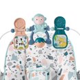 thumbnail image 2 of Fisher-Price Siège Sauteur de Base – Galet, 2 of 9