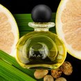 thumbnail image 3 of Michel Germain Sexual Secret Man Eau de Toilette Spray 75ml, 3 of 4