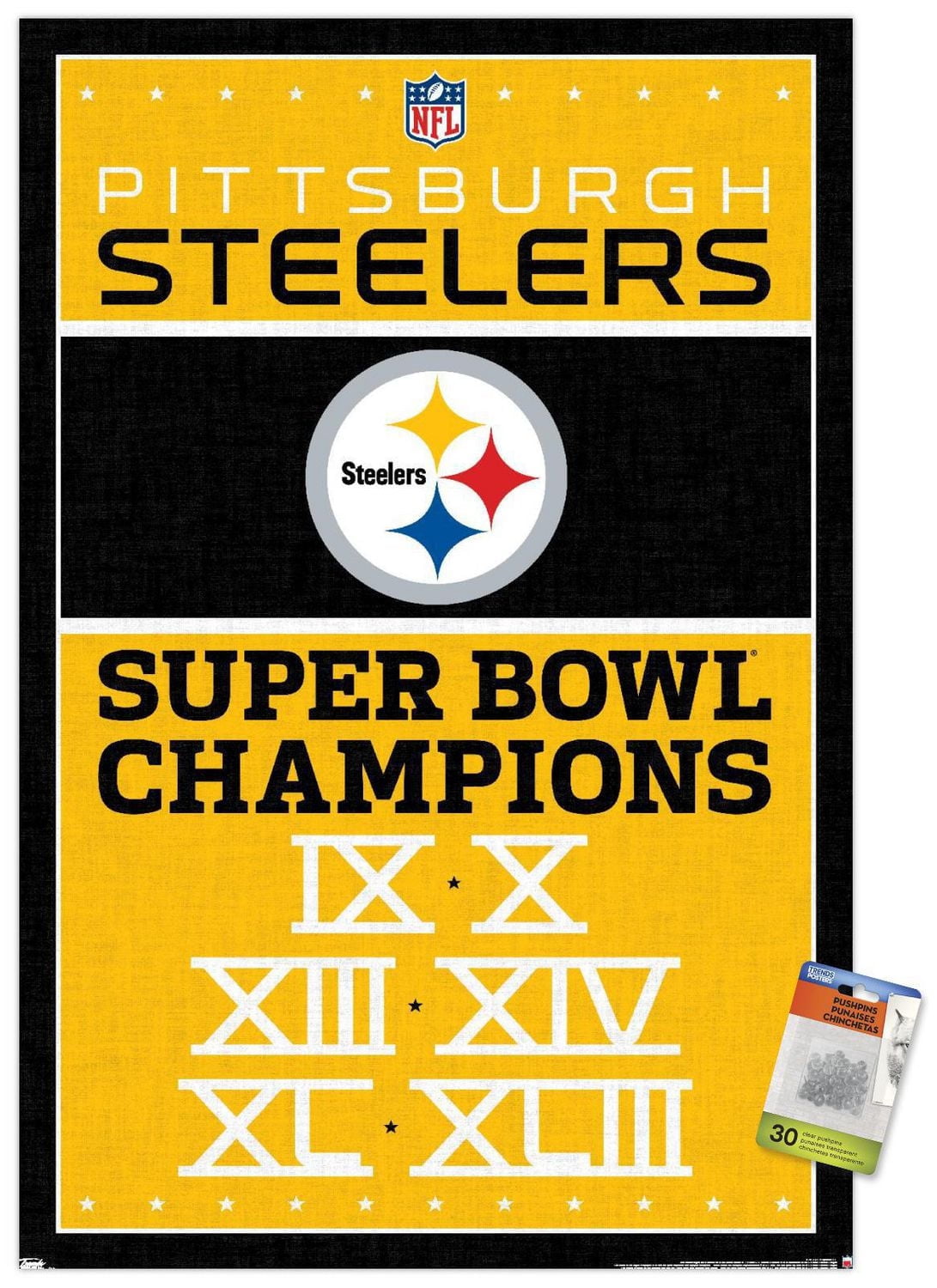 NFL Pittsburgh Steelers - Champions 13