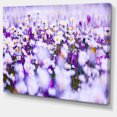 thumbnail image 2 of Daisy Field Photography Panorama - Floral Canvas Art Print, 2 of 4