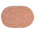 thumbnail image 1 of Colonial Mills HH73R040X060 40 x 60 in. Sasha Doormats, Rust, 1 of 1