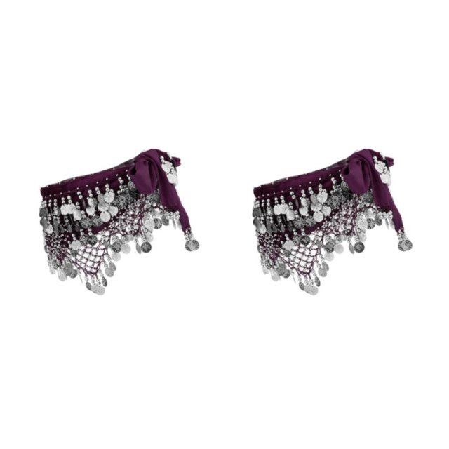 Thinsony Beautiful Belly Dance Waist Chain Intricate Purple Silver 2Set